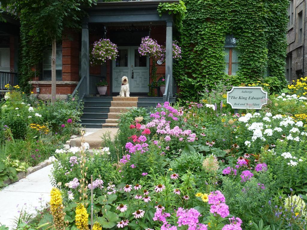 أوتاوا Auberge King Edward Bed And Breakfast المظهر الخارجي الصورة