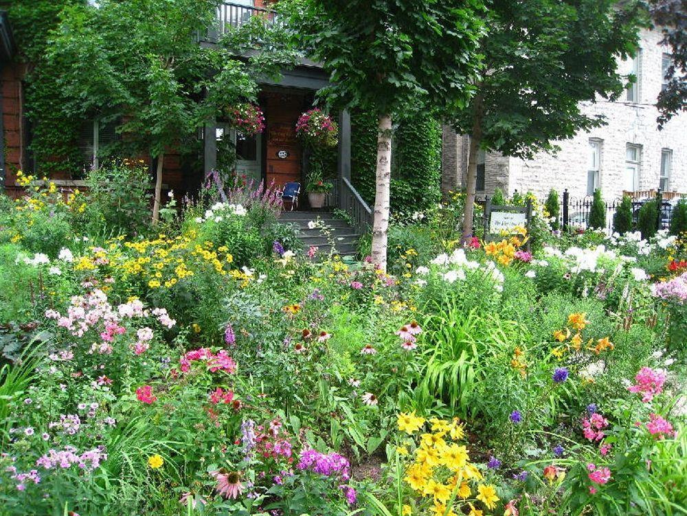 أوتاوا Auberge King Edward Bed And Breakfast المظهر الخارجي الصورة